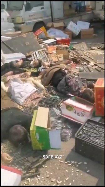 国内：挖掘机变身死亡机器，碾压市场群众1V
